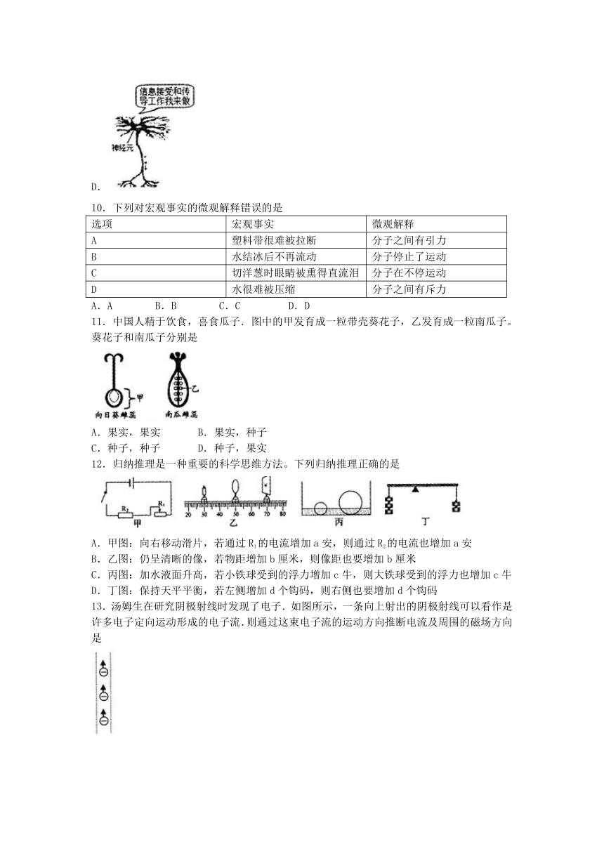 浙江省2018年初中学业水平考试（绍兴卷）科学试题卷（word版，含图片答案）