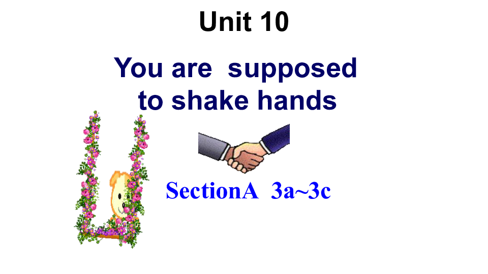 人教新目标版九年级全一册Unit 10 You’re supposed to shake hands. SectionA  3a~3c课件28张