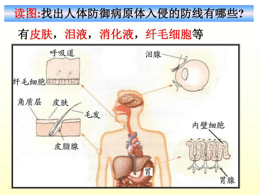 3.3身体的防卫