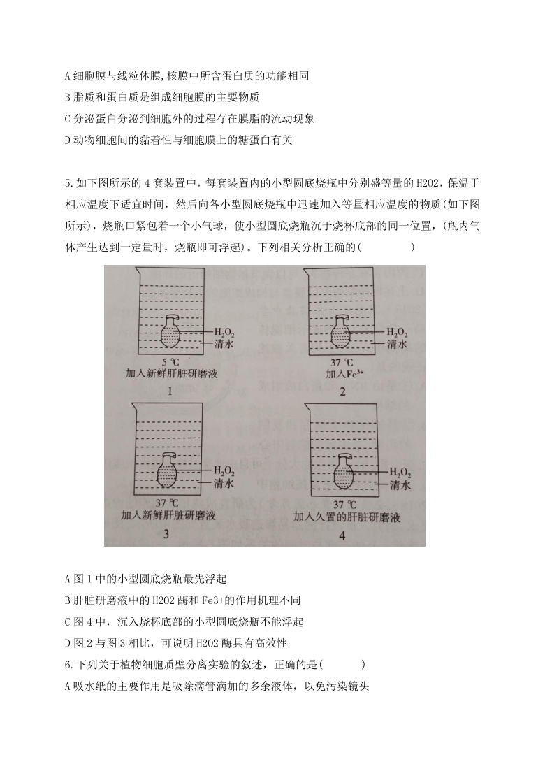 辽宁省铁岭市私立求实中学2019-2020学年高二下学期期末考试生物试题