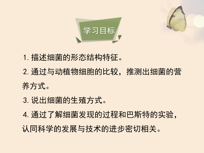 6.1.2 细菌 课件