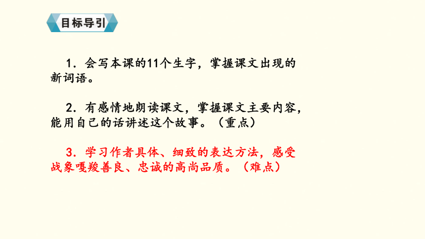 最后一头战象课件 (共55张PPT)