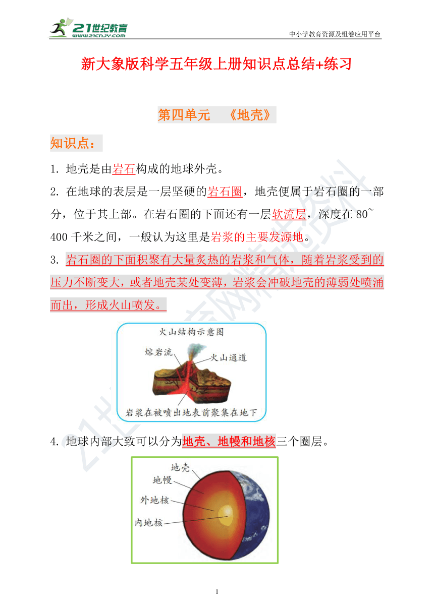 新大象版科学五年级上册第四单元知识点总结练习含答案