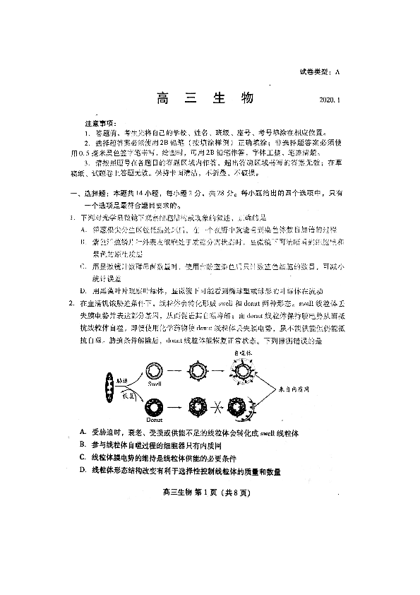 山东省潍坊市2020届高三上学期期末考试生物试题 （扫描版，含答案）
