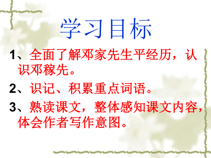 《邓稼先》课件