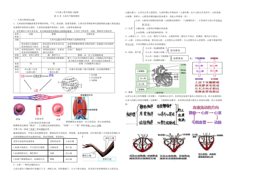 2021 2022学年苏科版八年级生物上册半期复习提纲 21世纪教育网 9598