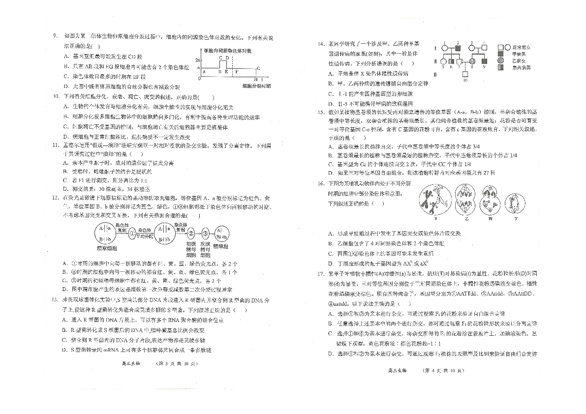 山西省大同市2020届高三上学期第一次联合考试生物试题 扫描版含答案