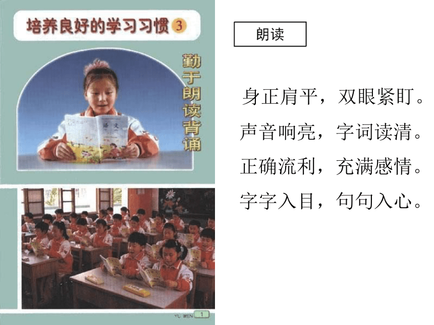 苏教版二年级上册《培养良好的学习习惯3》(精改)