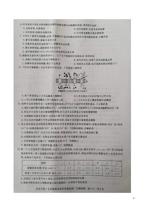 江西省吉安市2019-2020学年高一上学期期末教学质量检测生物试题 扫描版(答案带解析）