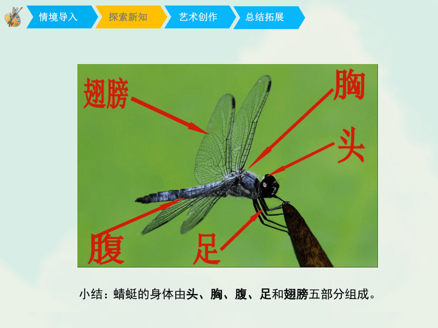 人教版小学美术二年级上册蜻蜓飞飞精品课件19张ppt