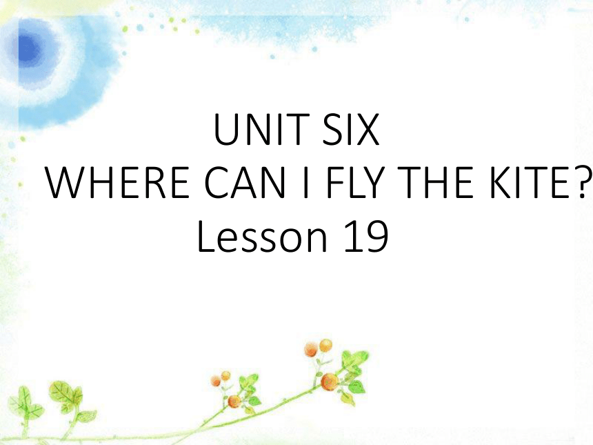 Unit 6 Where can I fly the kite? Lesson 19 课件