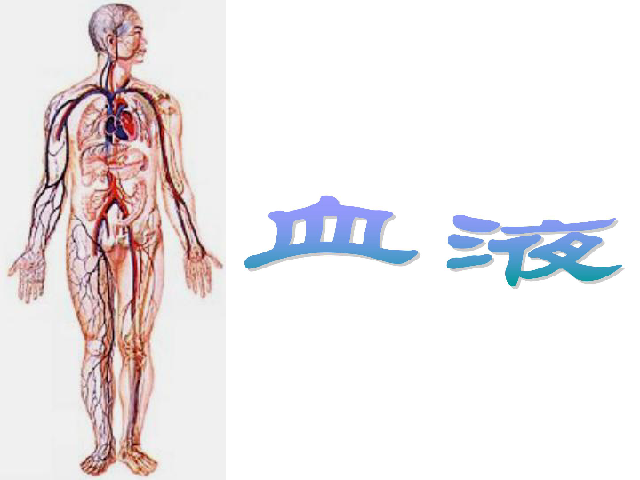 北京版七下生物  5.2.1 血液  课件（25张PPT）