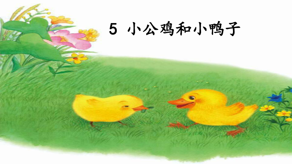 《课文5：小公鸡和小鸭子》 【省一等奖】优质课课件（20张ppt）