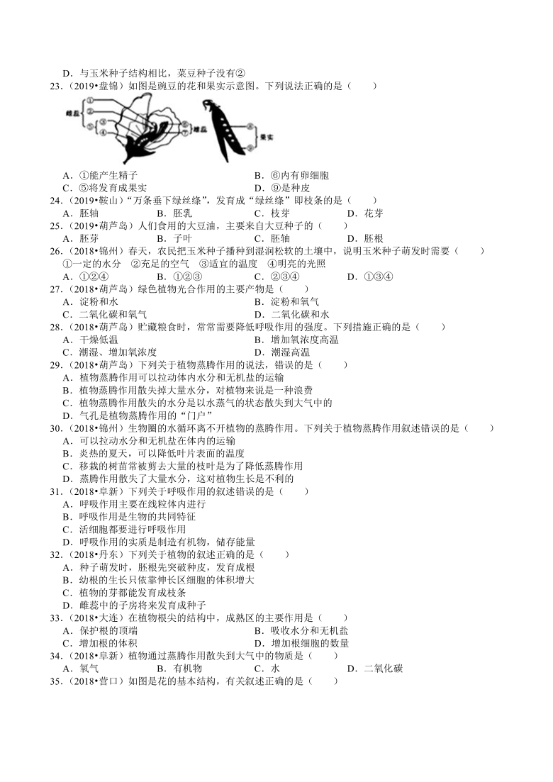 辽宁省2018-2020年近三年中考生物试题分类（3）——生物圈中的植物(含解析)