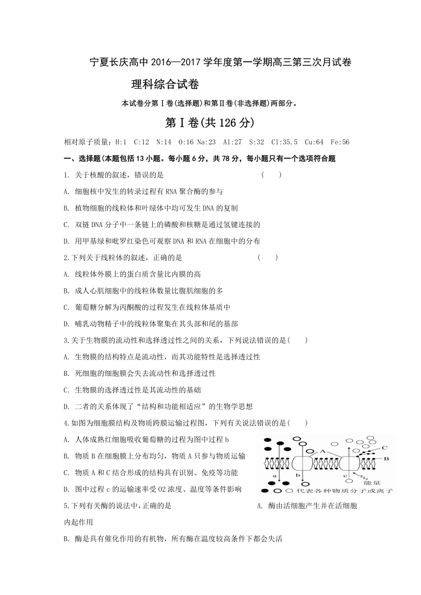 宁夏长庆高级中学2017届高三上学期第三次月考理科综合试题 Word版含答案