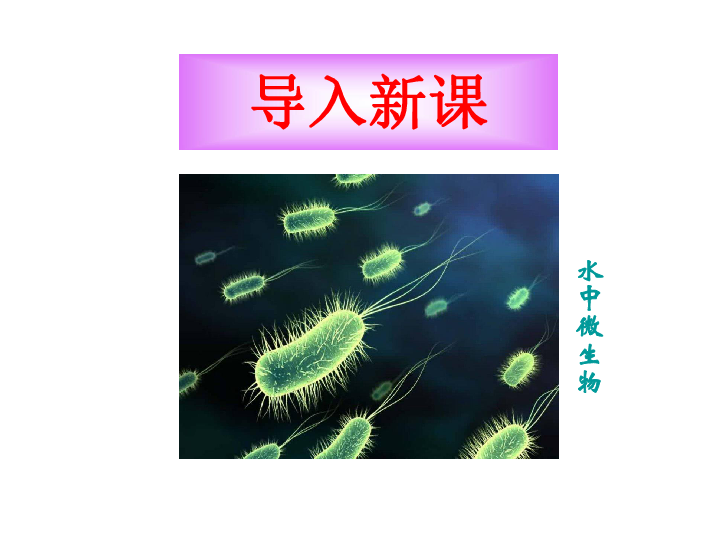 人教版高中生物选修2 第三章 第1节 第1节 微生物发酵及其应用 （共41张ppt）