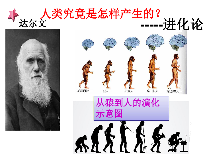 第1课 中国早期人类的代表—北京人 课件(共41张PPT)
