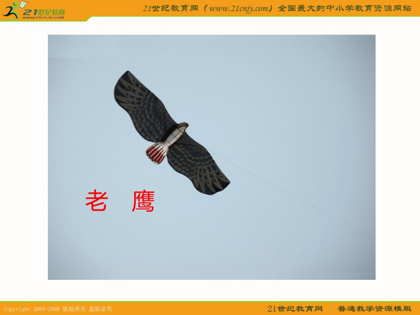 三年级语文下册课件 放风筝1（北京版）