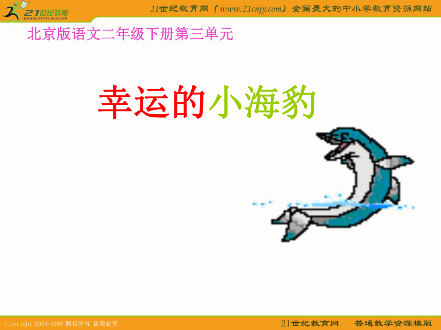 二年级语文下册课件 幸运的小海豹（北京版）