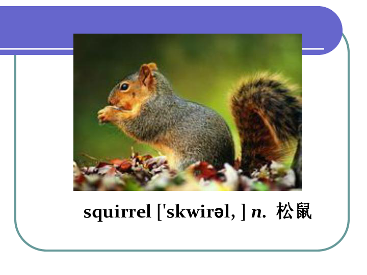 新概念英语青少版2B：Unit 19 Aproblem with squirrels 课件（30张PPT）