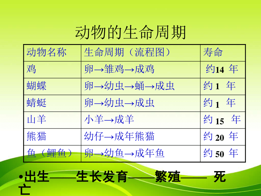 《其他动物的生命周期》  课件