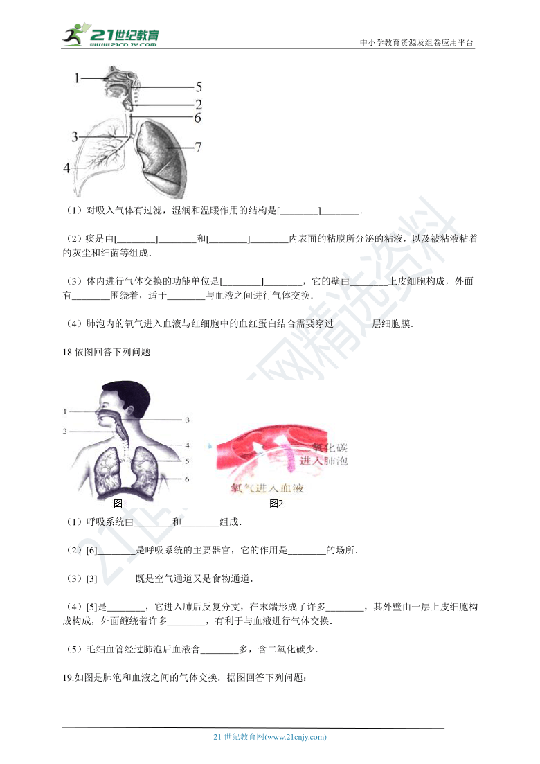 人教版2021初中生物七年级下册4.3人体的呼吸 章末检测（含解析）