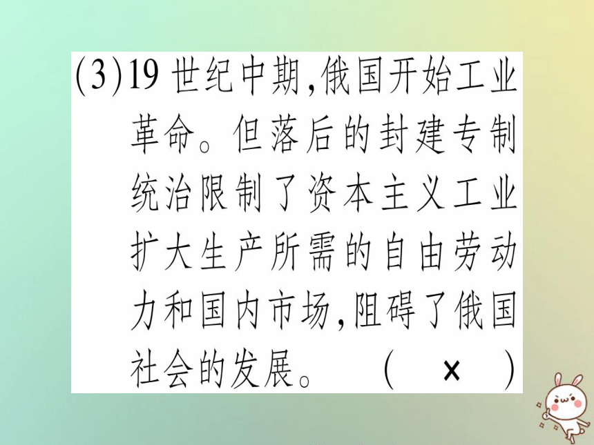 2018秋九年级历史上册第6单元资本主义制度的扩展和第二次工业革命第20课俄国的改革课件岳麓版