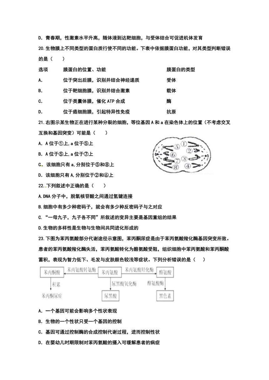 河北省临漳县第一中学2017-2018学年高二下学期第三次月考生物试题