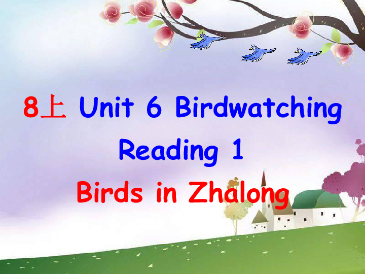 Unit 6 Bird watching Reading 1课件（共33张PPT 无素材）