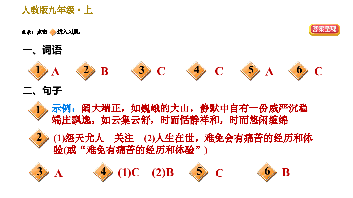 初中语文 人教部编版 九年级上册  专题二 词语 句子课件（16张ppt）
