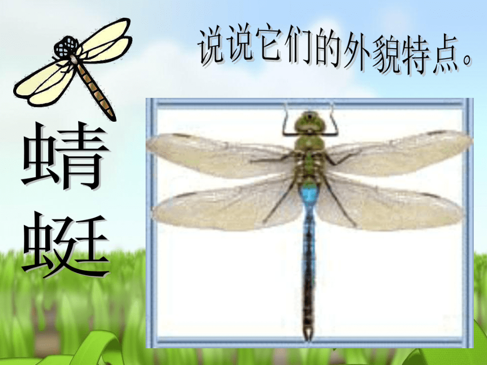 苏少版二年级下册 美术 课件 14. 虫虫虫（一）（30张幻灯片）
