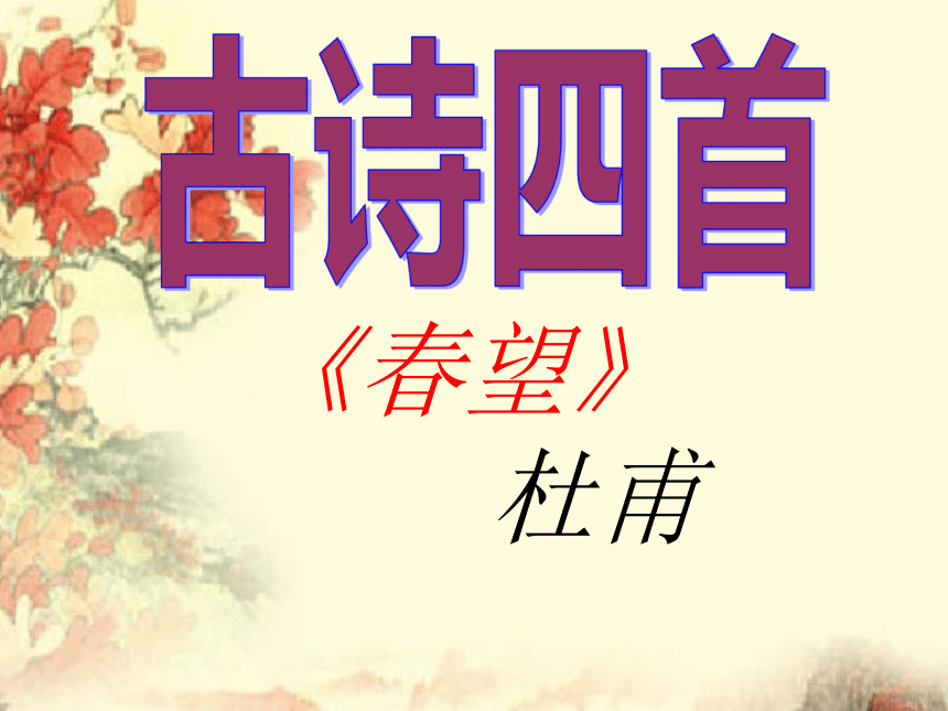 课件预览