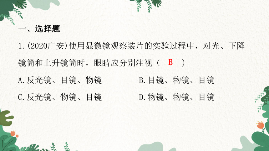 2023年中考生物一轮复习 第二单元 生物体的结构层次第一章 细胞是生命活动的基本单位习题课件共14张ppt 21世纪教育网 6551