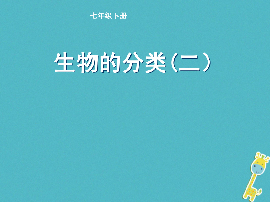 14.1生物的命名和分类 （第二课时）课件（新版）苏科版