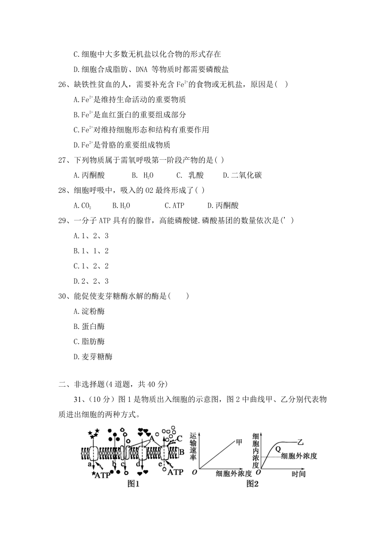 黑龙江省鹤岗市绥滨第一高级中学校2020-2021学年高一上学期期末考试生物（文）试题 Word版含答案