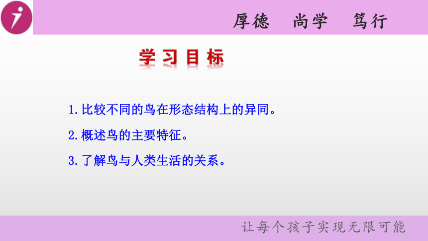 人教课标版初中生物八年级上册 第一章 动物的主要类群 第四节 鸟  课件（25张ppt）