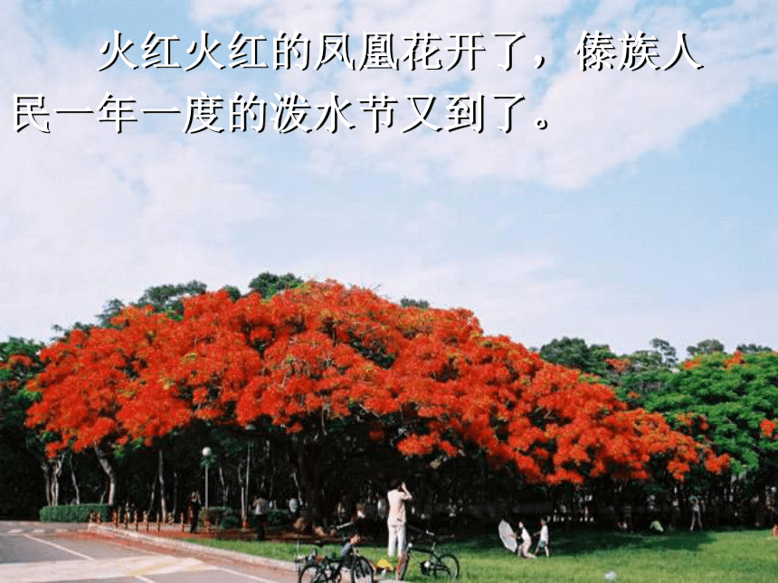 《难忘的泼水节》课件