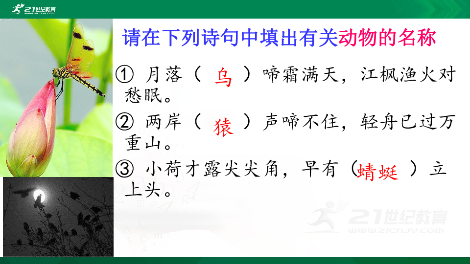 语文小升初《中国诗词大会》题库专练（三）填空、选择题  课件