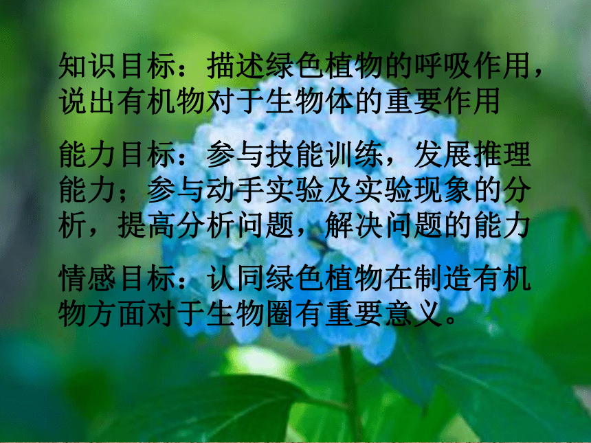 绿色植物对有机物的利用(２２张ppt）