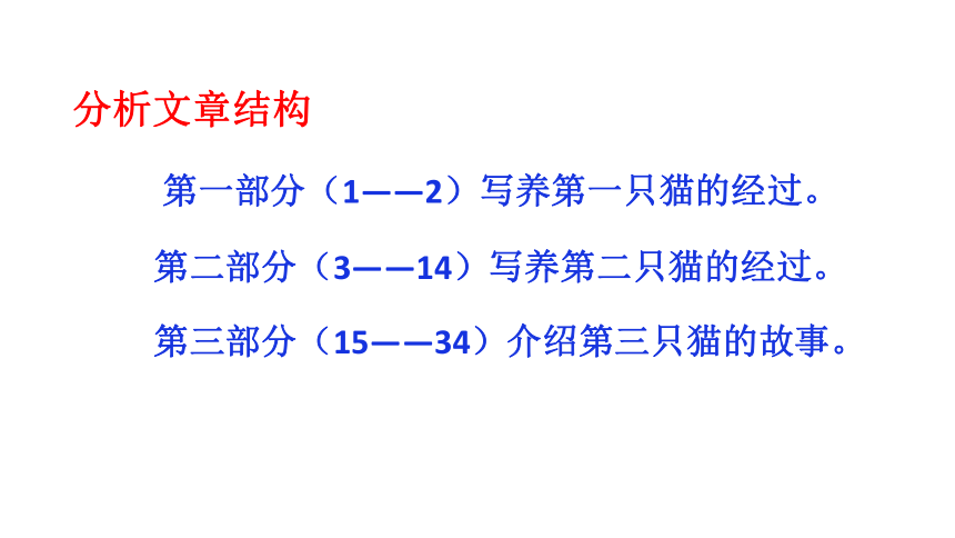 16 猫 课件（共48张PPT)