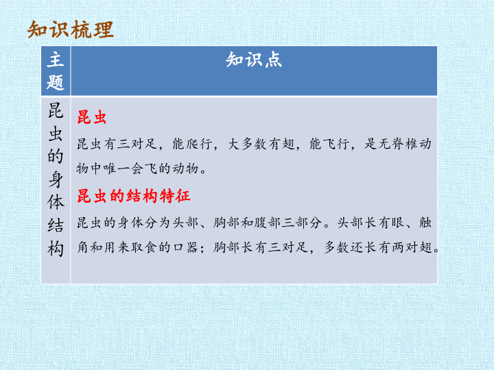 四年级下册科学复习课件-第一课 昆虫的生活-北京课改版(共20张PPT)