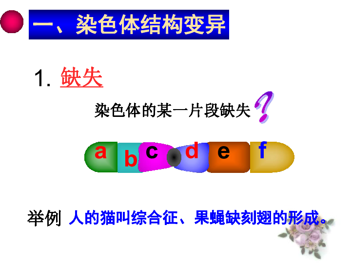 人教生物 必修2第5章2染色体变异（共62张PPT）