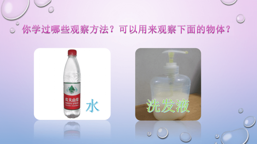 5.观察一瓶水 课件（14张PPT）