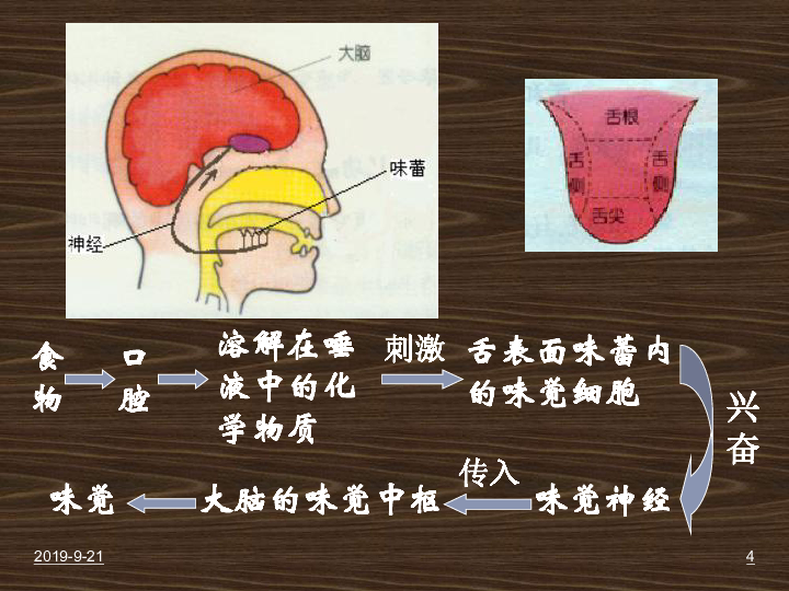 꼶ϲ__400