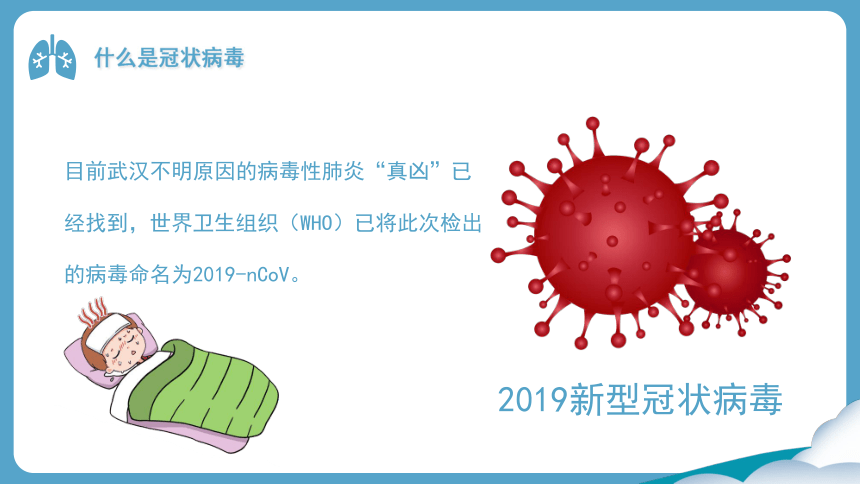 主题班会：新型冠状病毒，预防与治疗知识（20ppt）