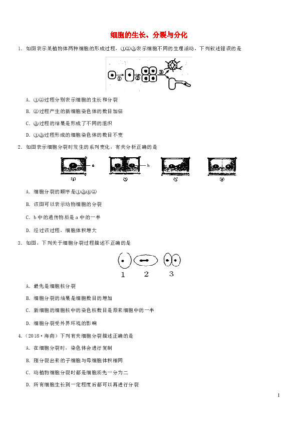 2019届中考生物专题汇编细胞的生长、分裂与分化