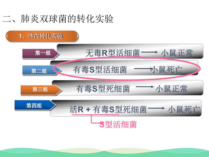 高中生物必修2 第三章第1节DNA是主要的遗传物质 课件（32张）