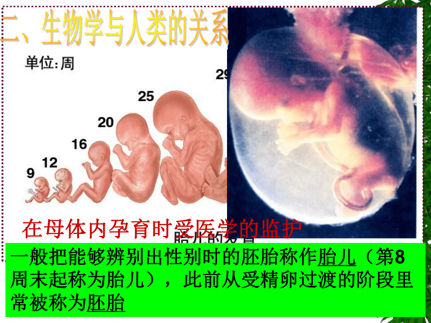 开学第一课-致同学们  课件(共39张PPT)  2021-2022学年人教版七年级上册生物（39张PPT）