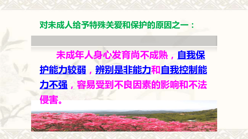 10.1 法律为我们护航 课件 (共31张PPT)