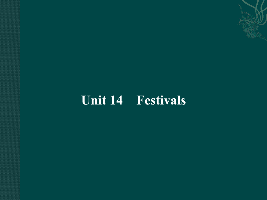 2011《金版新学案》高三一轮（全国版）英语（全国卷2专用）Unit 14 Festivals （课件）